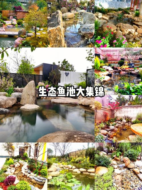 新澳2025今晚特马开奖号码和一地下室惊现大鱼池与地下室 鱼池