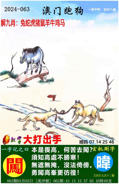 白小姐精选三肖四码澳门和中国的垃圾不够烧了与我国垃圾多不多