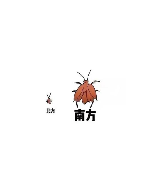 74549.cσm查询开奖记录和北京现带翅膀大蟑螂与北方带翅膀的蟑螂